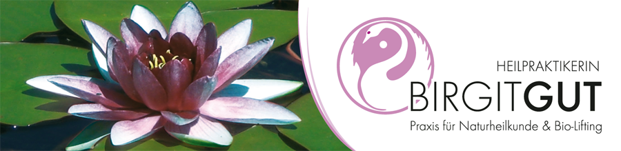 header home anfahrt impressum